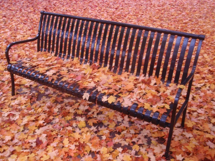 a park bench surrounded by autumn leaves