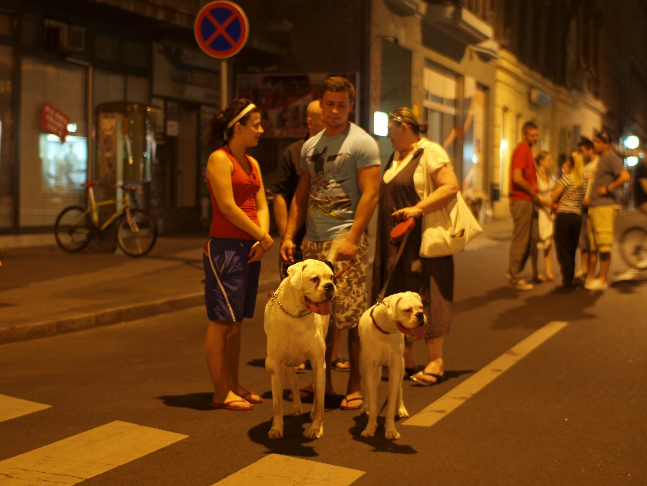 people standing around two dogs on a street