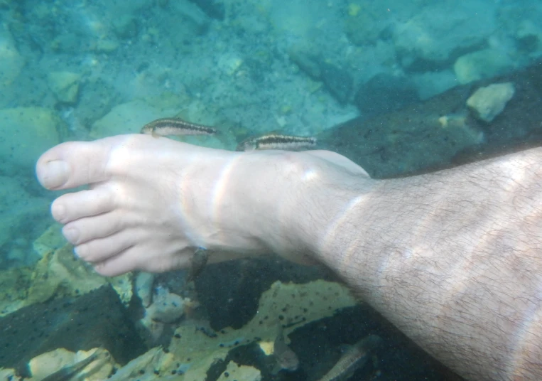 a person is underwater with their feet covered in sand