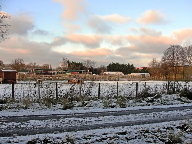 the fence is empty as cows and cattle walk along in the wintertime