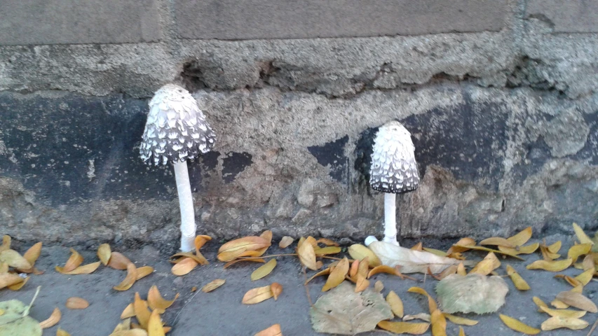 two street lights sitting in the grass on a sidewalk