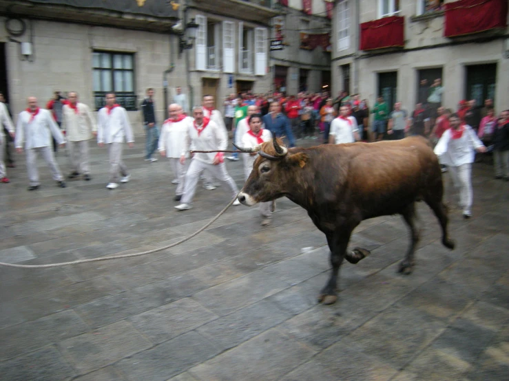 there are some people that are running and one is pulling the bull