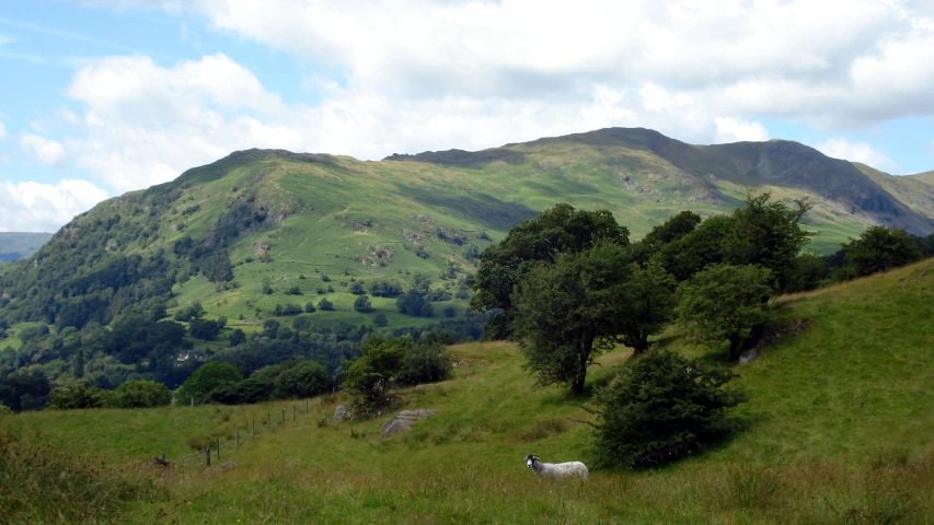 a mountain scene with sheep and lush green hills