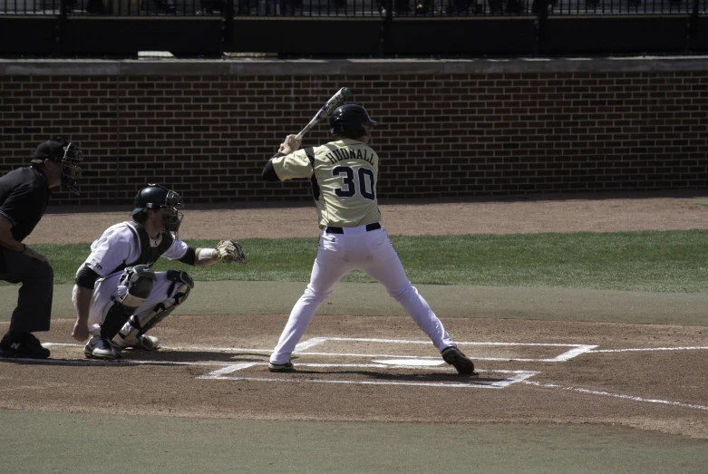 a baseball player holding a bat on top of a field