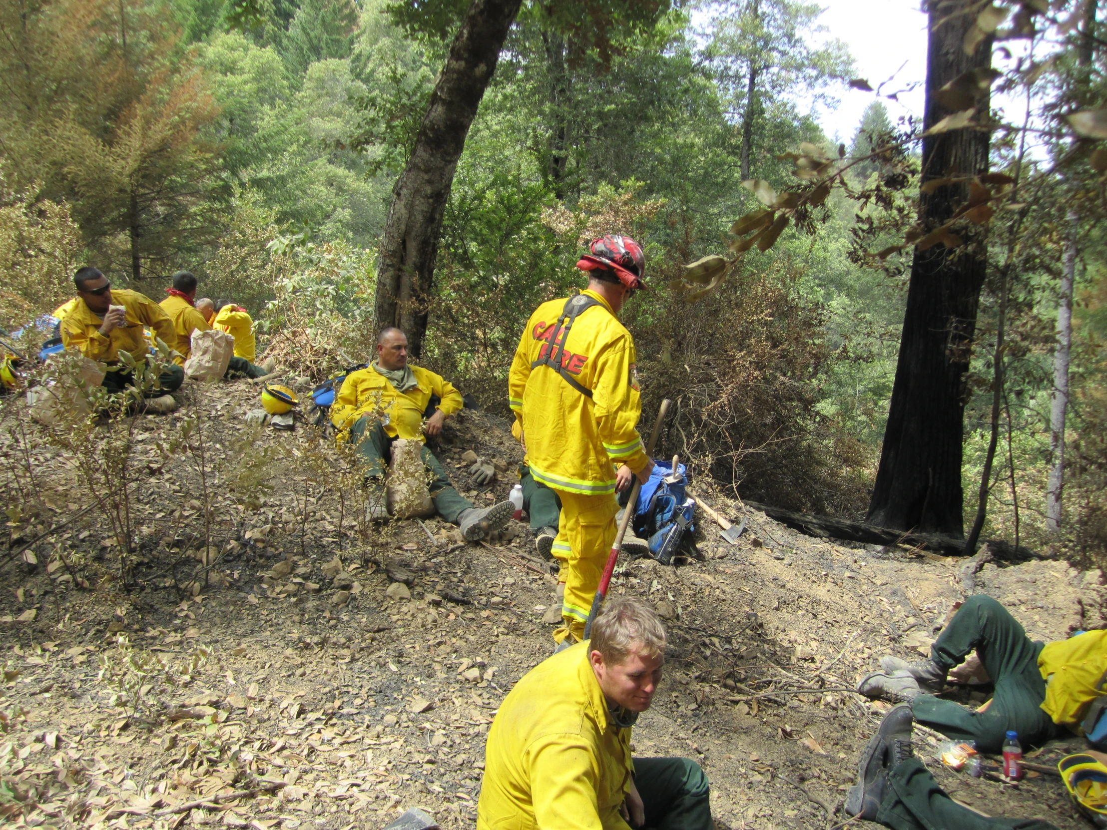 people in yellow jackets are on the trail