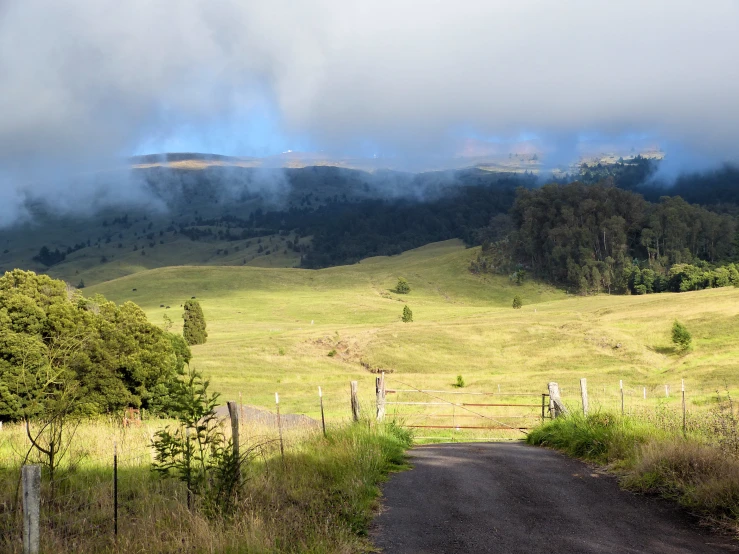 the landscape shows the lush green hills and pasture