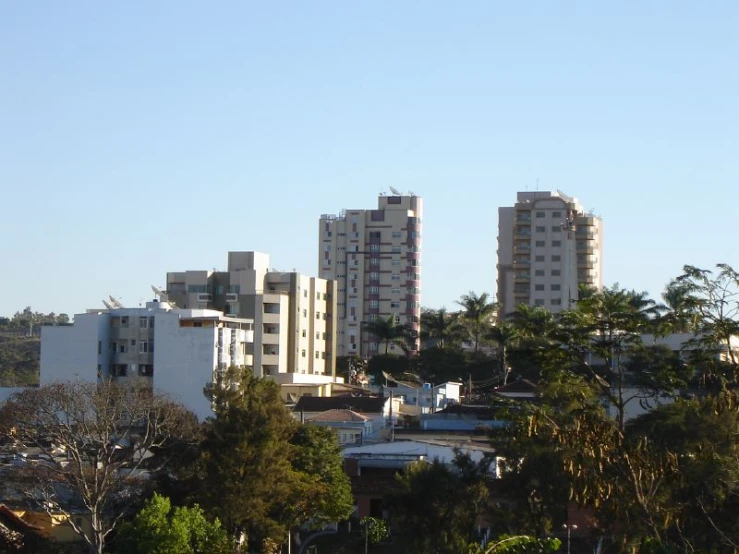 large city with trees and buildings against a light blue sky