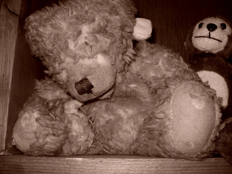 two teddy bears sitting next to each other