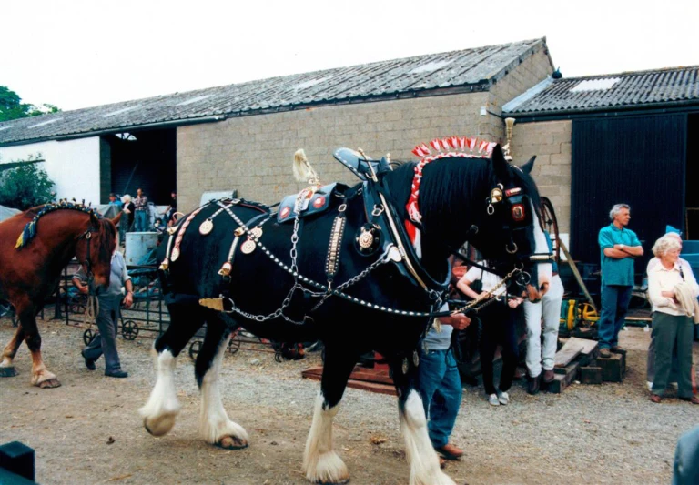 the man is standing next to two horses dressed in costume