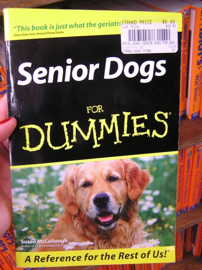 the owner holds up a paperback book for their dog