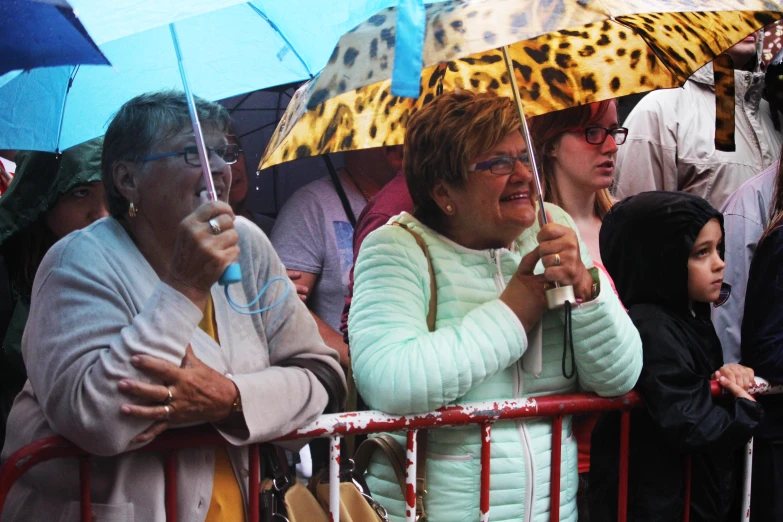 a group of people with umbrellas looking on