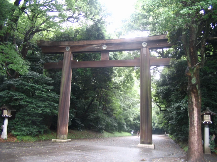 an image of a torin in the woods setting