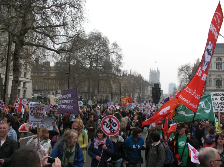 many people carrying flags and signs while on a street