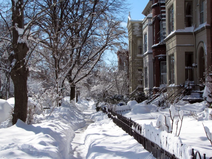 snow covered street with tree lined sidewalks near buildings