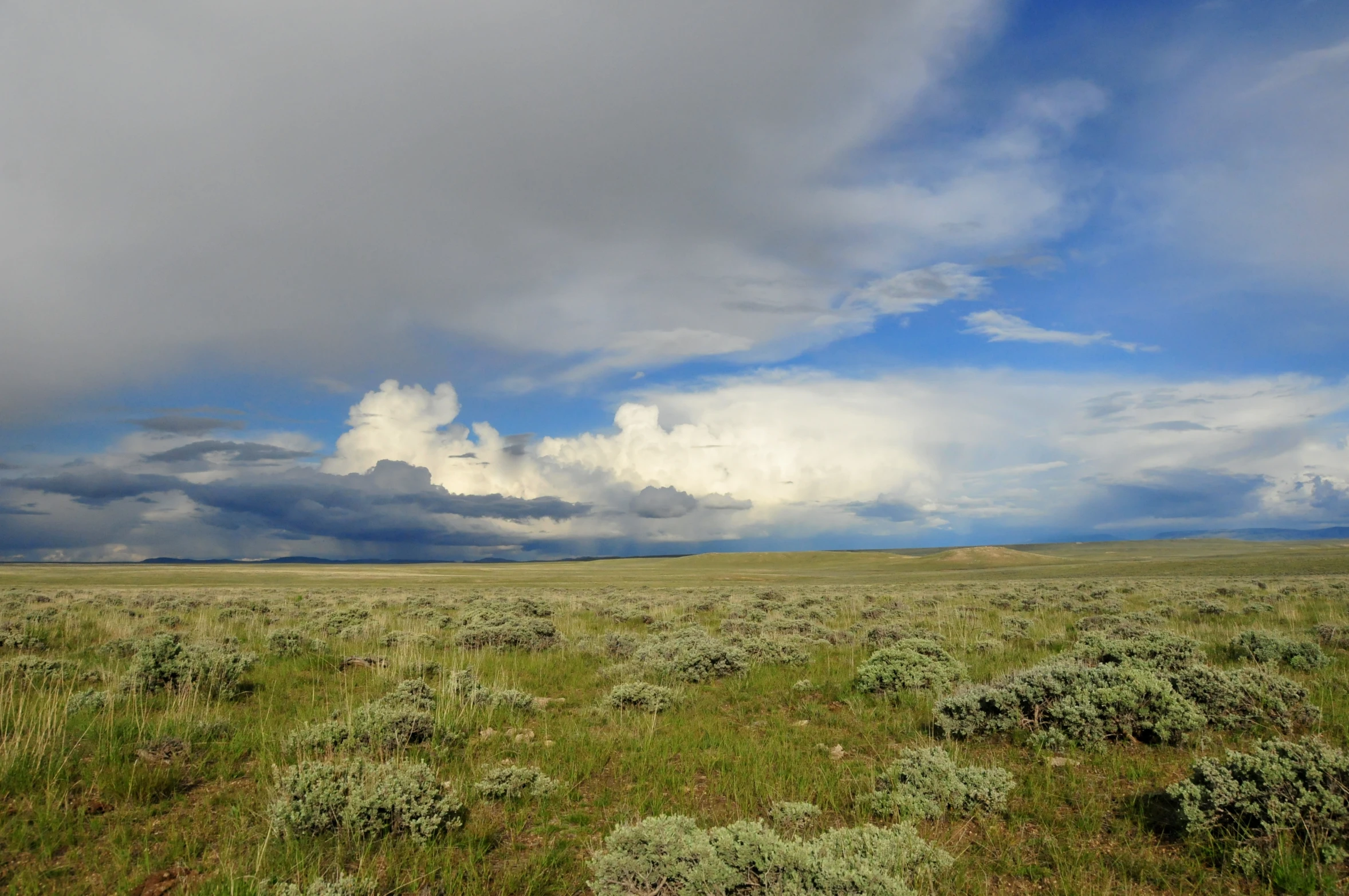 a large open space with grass, weeds and clouds