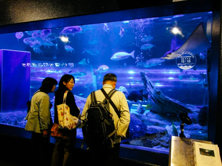 people looking at fish in an aquarium in china