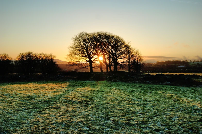 a field with a tree that is silhouetted by the sun