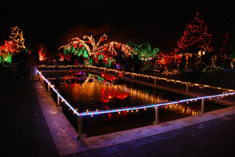 a park with colorful lights and a pond