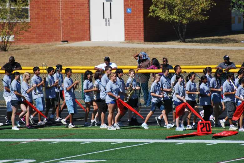 a group of people are in the grass with softball bat