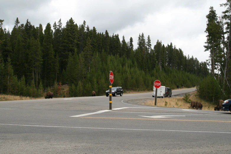 a street with traffic going down one lane in the wilderness