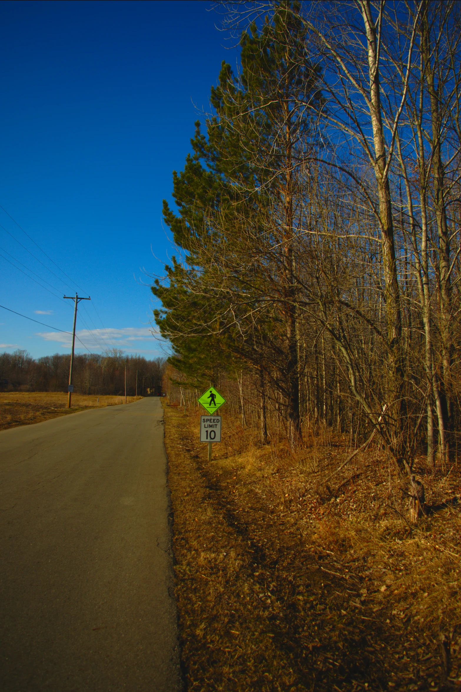 a lonely tree lined road with a sign in the middle