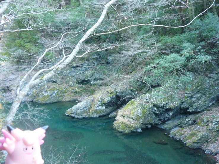 a small river surrounded by trees and rocks