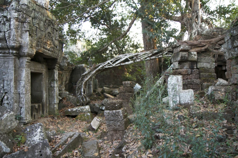 ancient structures covered in vines and vines cover the ground