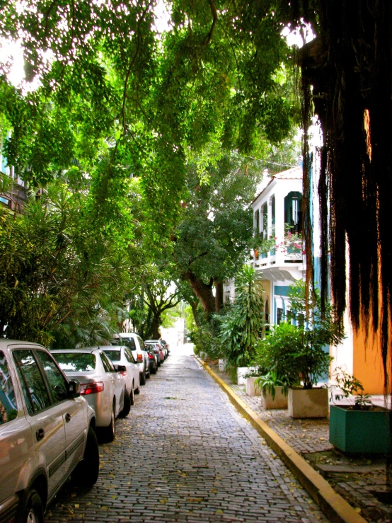 a line of cars parked along the side of a street