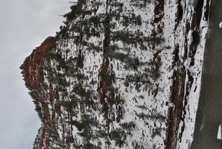 a mountain slope with lots of trees along the side of it