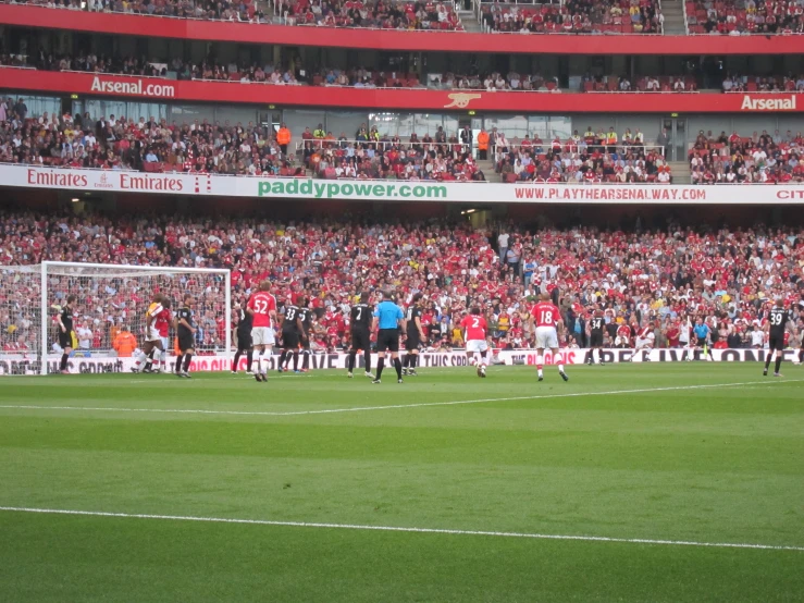 fans are standing and watching the soccer game