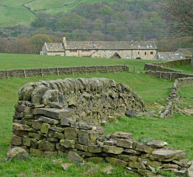 stone walls at the edge of a field