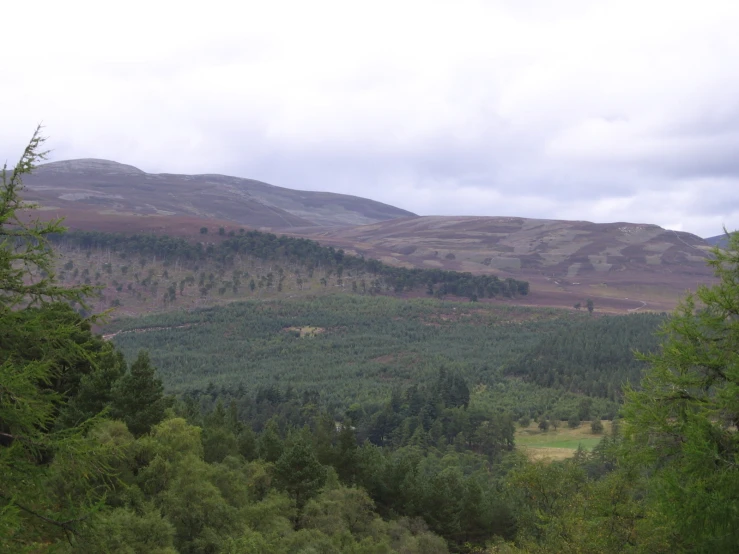 a field with trees and mountains in the background