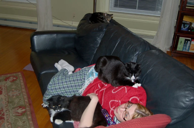 two cats sit in the arms of a woman laying on a couch