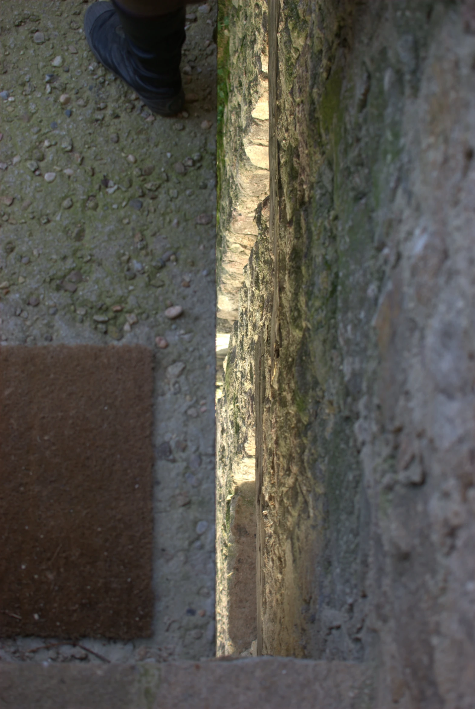 the floor of an ancient structure is covered in moss