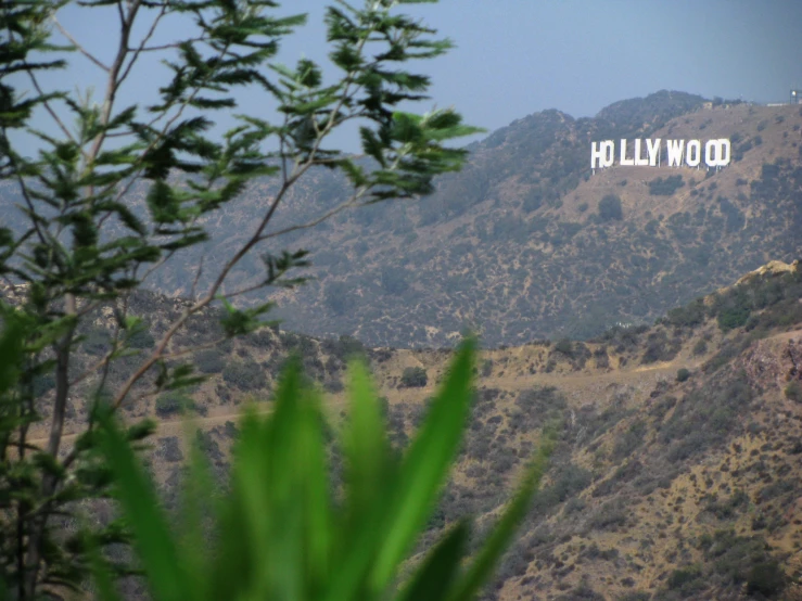 a view of hollywood sign and trees on top of a mountain