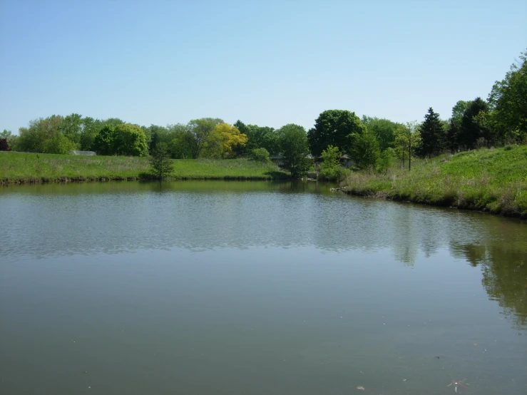 large pond in middle of grassy area and trees in distance