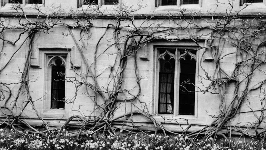 an old building with vines growing from it