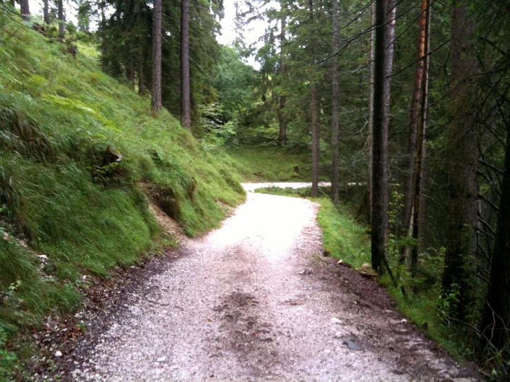 a gravel road winding through a wooded area