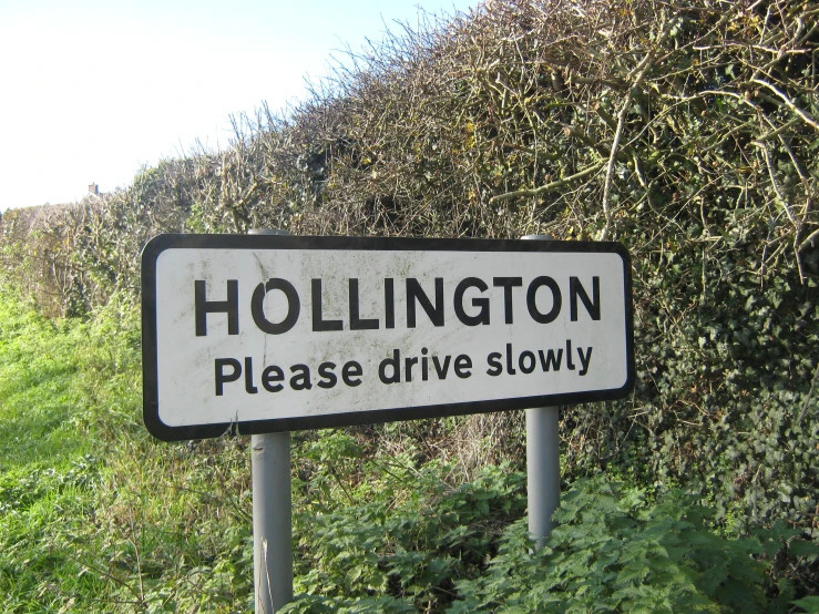 a street sign is shown near some bushes