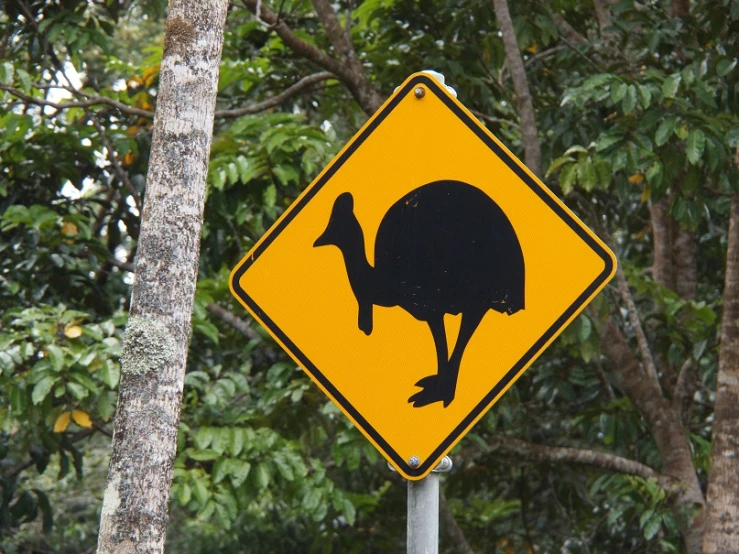 a yellow and black sign depicting a large ostrich