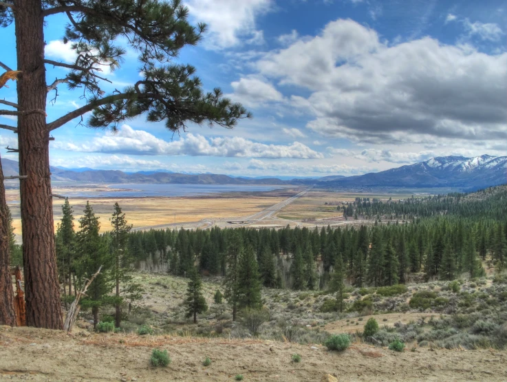 view over the mountains with trees and field and mountains below