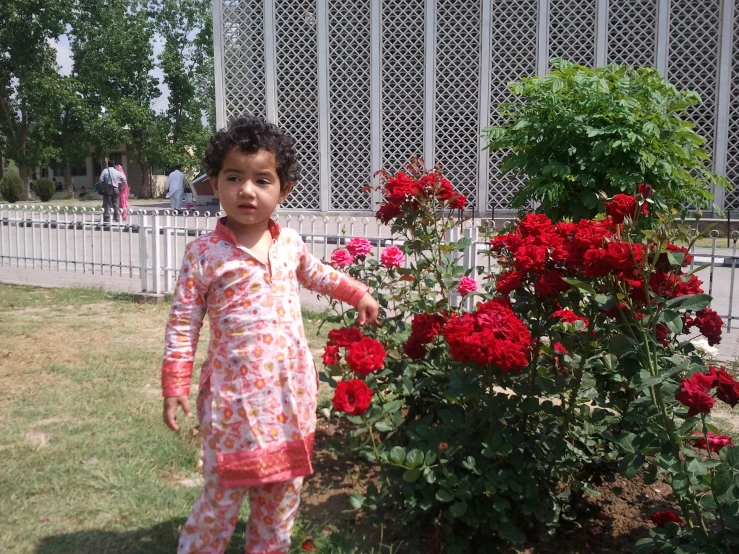 a little girl standing in front of a bush of flowers