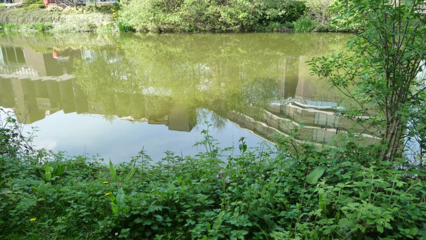 a large body of water surrounded by lush green vegetation