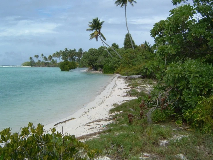 a sandy beach on the coast of an island in the tropical