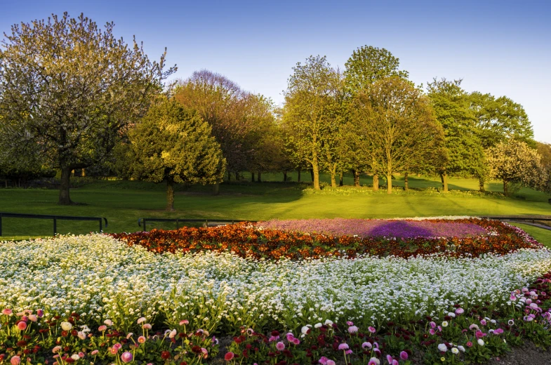 a flower garden is in the middle of a park