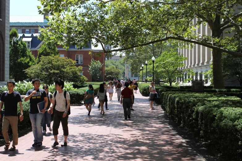 a group of people walking through a walkway lined with trees