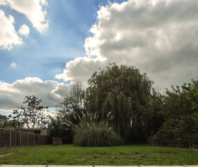 there is an image of clouds coming over the trees