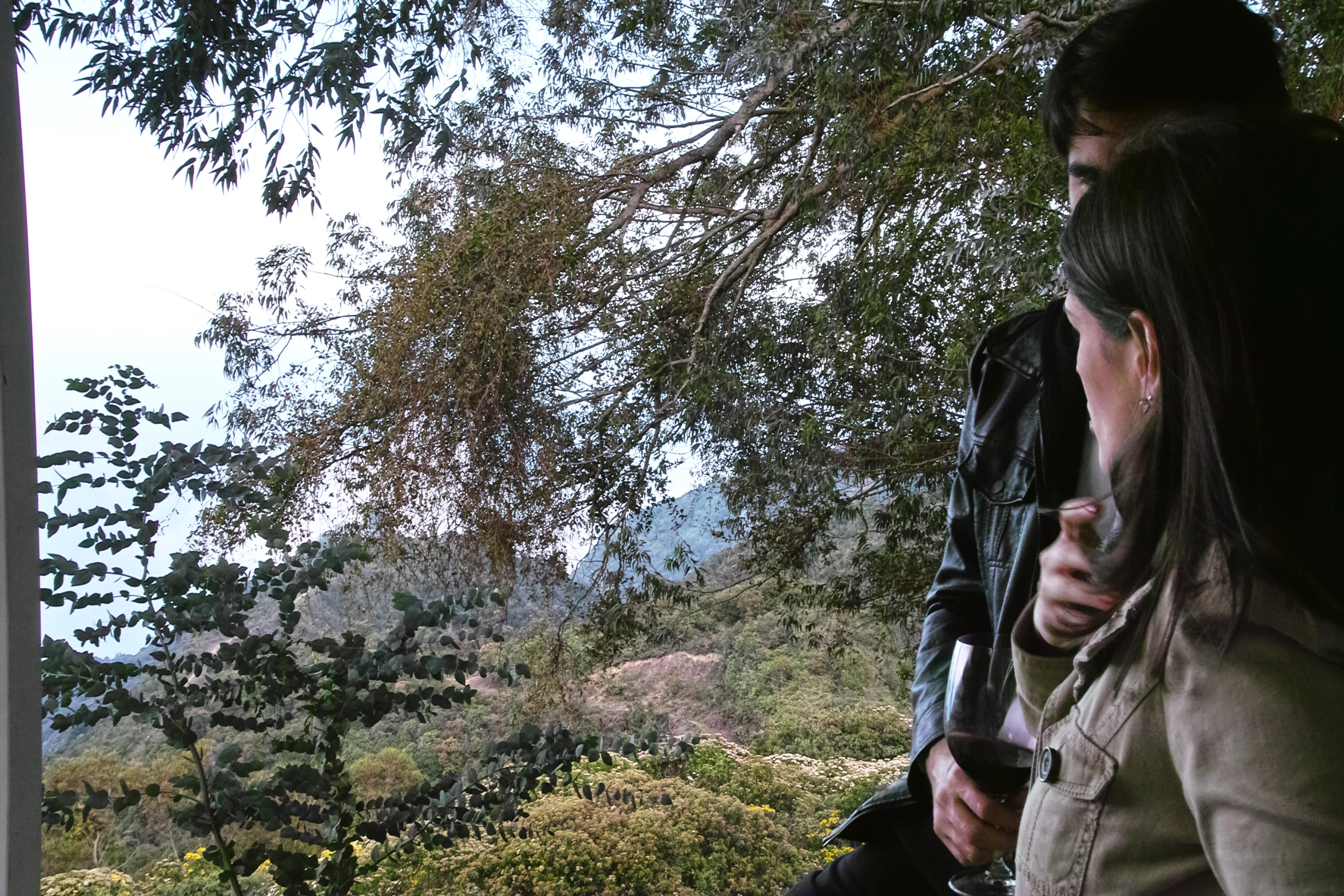 two people look at their phone while standing near a tree