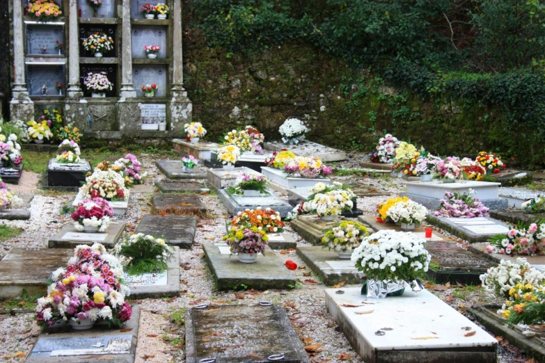 an old cemetery with many headstones and flowers in a floral arrangement