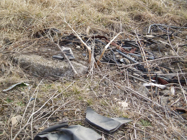 debris is seen in a grass field surrounded by nches